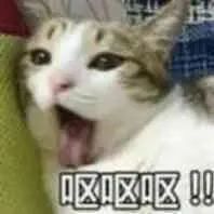DƬ